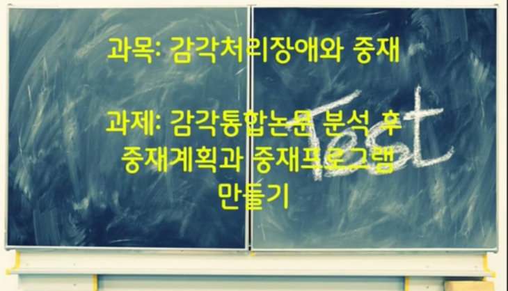 감각통합논문 분석 후 중재계획과 중재프로그램 최우수과제 (과제명: 공주님을 구해라)